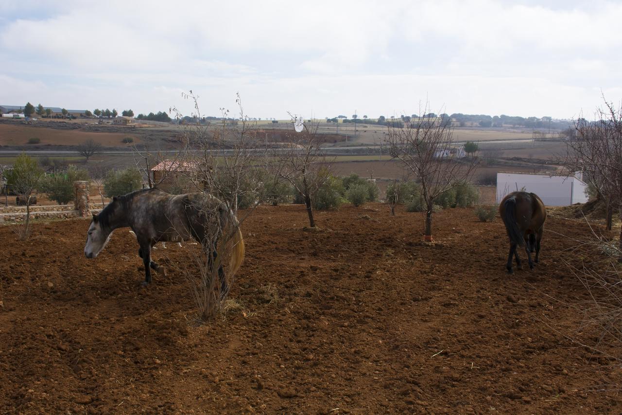El Retiro De Cervantes Ossa de Montiel Εξωτερικό φωτογραφία